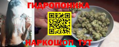 молекула духа Гатчина