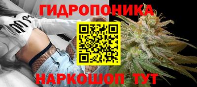 дурь Гай