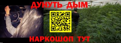 дурь Гай